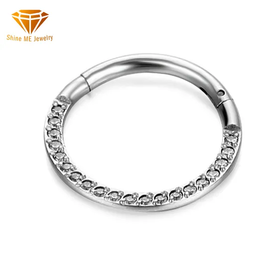 316L Stainless Steel Pierced Zircon Nose Ring Closed Ring Seamless Connection Nose Ring Earrings Multifunctional Segment Ring Sspr077 