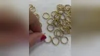 ASTM F136 Titanium Segment Clicker Hinged Nose Rings 